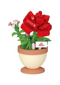 花漾盆栽-玫瑰花 - OBL10301422