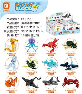 海洋动物TINY - OBL10301428