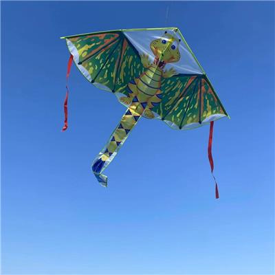Windmill / kite - OBL10304606