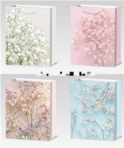 Boutique / Gift Series - OBL10320285