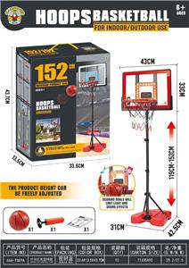 Basketball board / basketball - OBL10338965