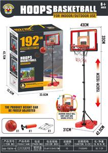 Basketball board / basketball - OBL10338967