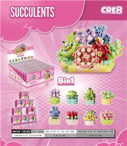 多肉（8合1） - OBL10343780