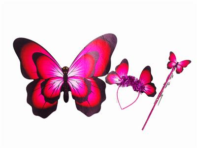 Dress / wings - OBL10365157