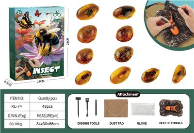 昆虫DIY挖掘 - OBL10372391