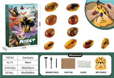 昆虫DIY挖掘 - OBL10372392