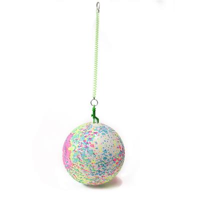 22CM PVC弹力球带拉绳 - OBL10384442