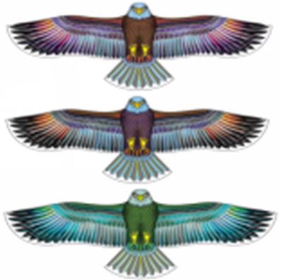 155CM宽彩色老鹰风筝包线 - OBL10388638