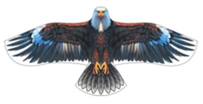 单彩155CM宽老鹰风筝包线 - OBL10388641