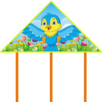 小鸟 风筝配50米线 - OBL10393944