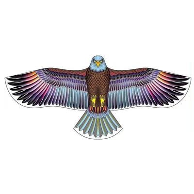 1.65米炫彩紫海雕风筝配线 - OBL10397620