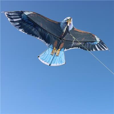 1.8米白头老鹰风筝配线 - OBL10397627