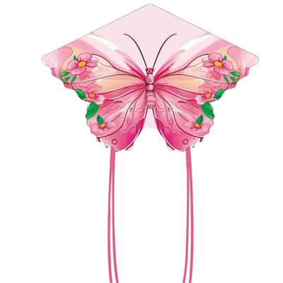 1.45米粉色蝶语花香风筝配线2 - OBL10397645