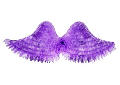 小号普通天使翅膀 - OBL10415885