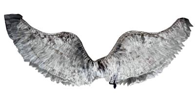 大号普通天使翅膀 - OBL10415886