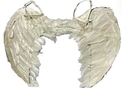 57*40CM中号真羽毛天使翅膀 - OBL10416137