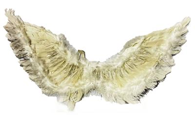 80*40CM真羽毛天使翅膀加银丝 - OBL10416139