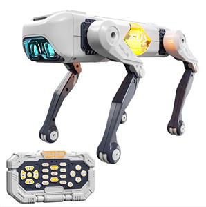 Remote control robot - OBL10445557