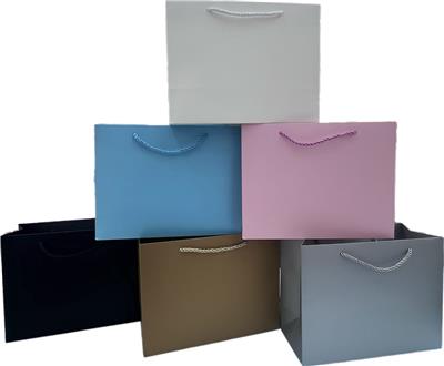 多色大号平面印刷礼品袋(横版） - OBL10456240