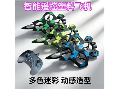 Remote control plane - OBL10467261