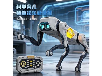 Remote control robot - OBL10470571