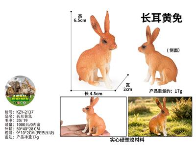 长耳黄兔 - OBL10487907
