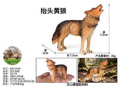 抬头黄狼 - OBL10487914