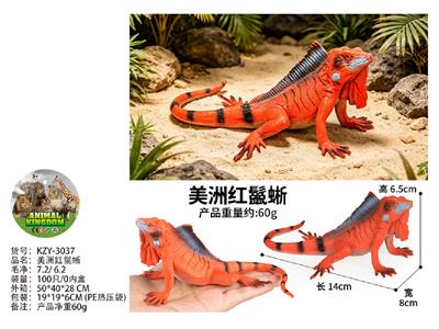 美洲红鬣蜥 - OBL10487925