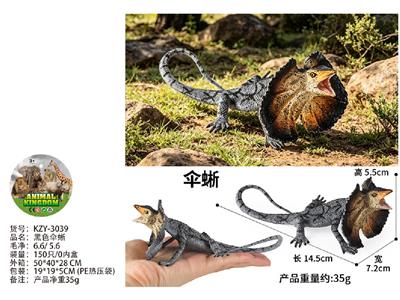 黑色伞蜥 - OBL10487927