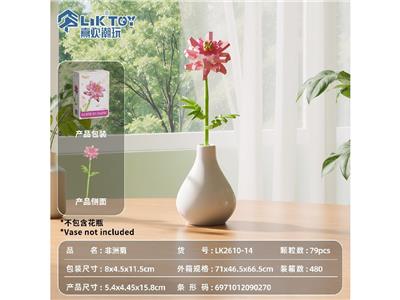 冲量特供款-非洲菊 - OBL10488115