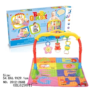 Fitness (with carpet) - OBL629841