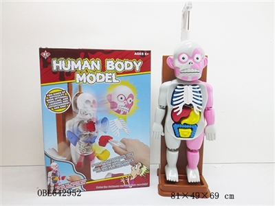Human body model terrorist three-dimensional jigsaw puzzle - OBL642952