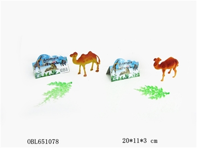 Camel - OBL651078
