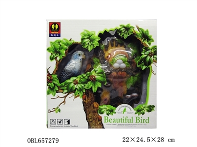 Blue budgerigar - OBL657279