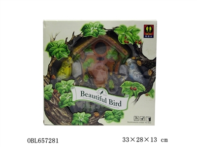 虎皮鹦鹉 - OBL657281