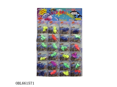 Hanger 24 expansion zhuang goldfish - OBL661571