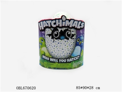 Wisdom eggs - OBL670620