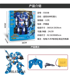 飞鹰金刚 - OBL671416