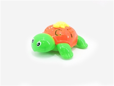Arrows lights the tortoise - OBL672727