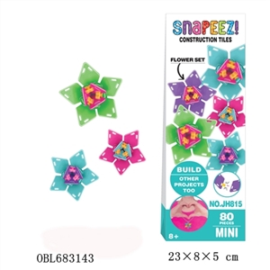 拼装积木（80pcs） - OBL683143