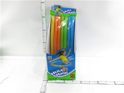 The hoop - OBL686060