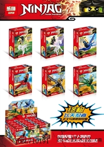 Wang - ninja (6 conventional / 12 box of a show) - OBL710191