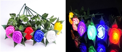 Colorful light rose - OBL717034
