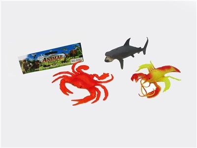 Crayfish shark - OBL721505