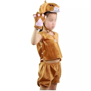 The little lion costumes for children - OBL730190