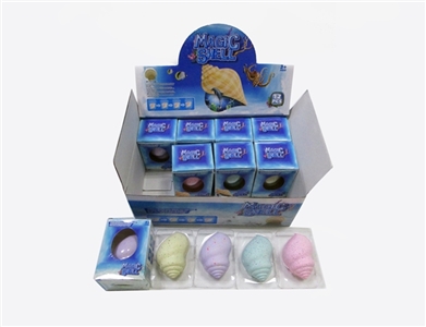 盒庄12只膨胀雨花大海螺 - OBL734519