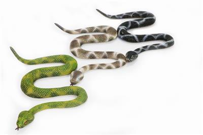 响尾蛇 - OBL742136