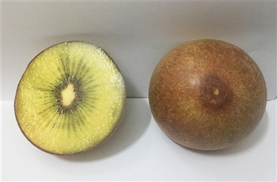 慢回弹仿真奇异果 - OBL747270