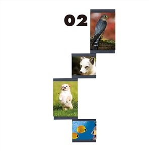 Photo wall - OBL750138