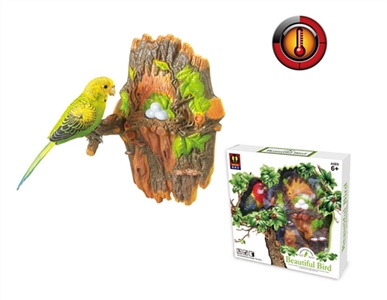 壁挂绿虎皮热感鹦鹉（单鸟） - OBL756183